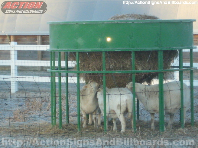 Hay Hopper Feeder For Sheep Sheep Production