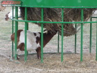 Hay Hopper Goat Feeder/Hay Saving Goat Feeder/Hay Saver Goat Feeder 
